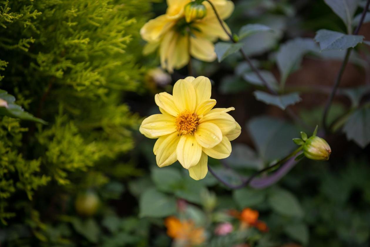 Gatimene Gardens Hotel Meru エクステリア 写真